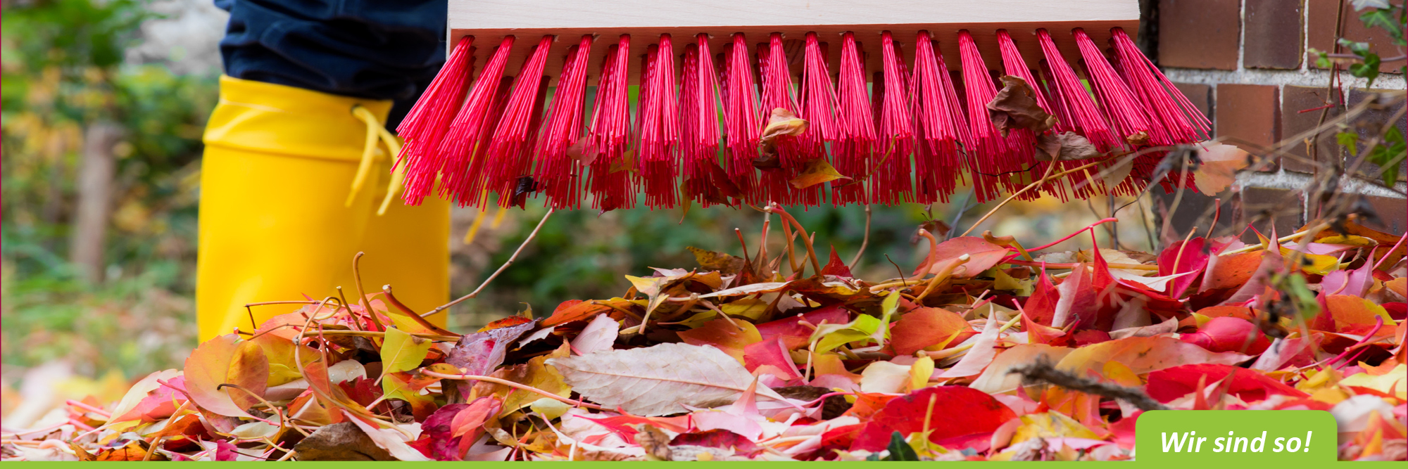 Laub entsorgen im Herbst – flotte-eifel-besen.de